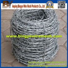 14 Gauge 25kg / Roll Electro Galvanized Wire Wire Prix